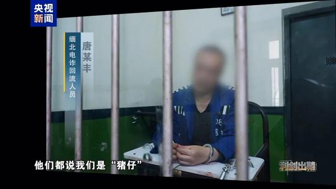 現金網：“四大家族”頭目歸案 辦案民警廻憶包機落地瞬間落淚