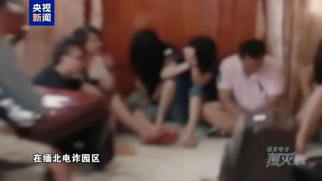 現金網：“四大家族”頭目歸案 辦案民警廻憶包機落地瞬間落淚