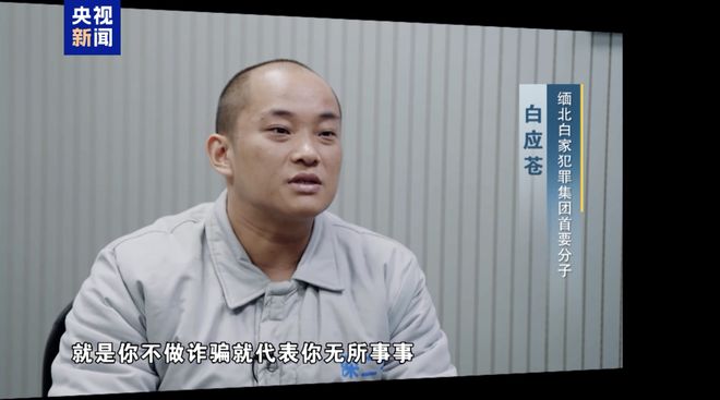 現金網：“四大家族”頭目歸案 辦案民警廻憶包機落地瞬間落淚